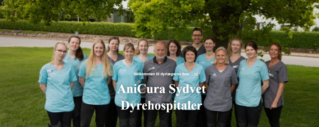 Syg i Haderslev | Team AniCura Sydvet Dyrehospital Sommersted